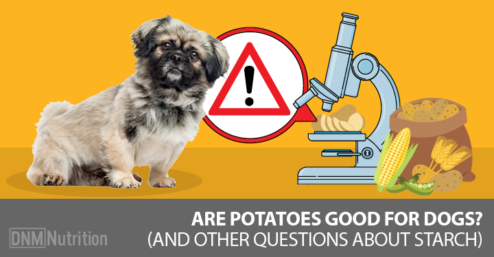 potato for dogs good or bad