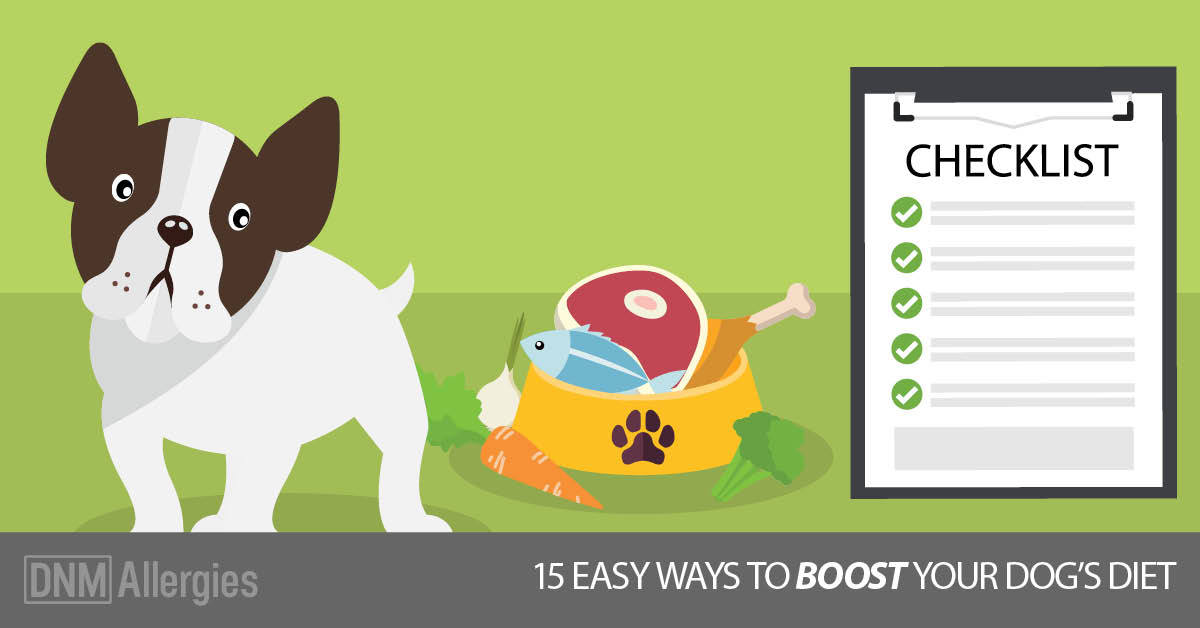 15 Tips To Improve Your Dog's Diet 
