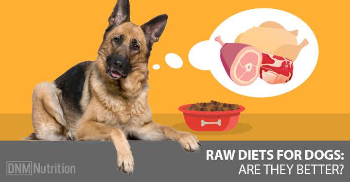 benefit of raw diet for dogs
