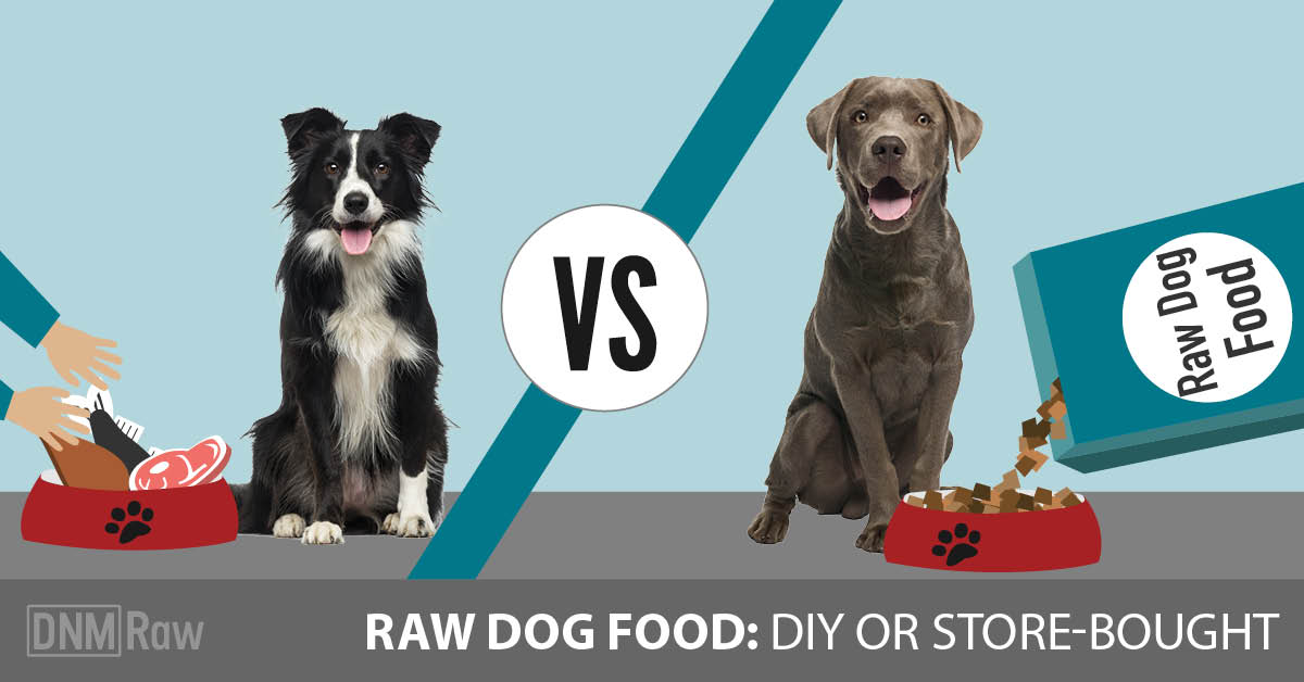 best mixer for raw dog food