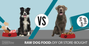 raw food for dogs homemade vs premade