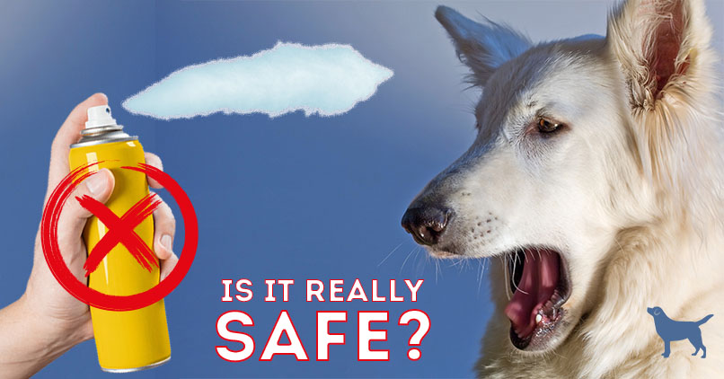 safest flea control for dogs