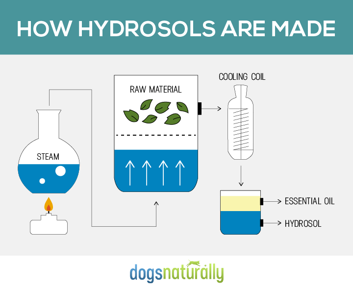 How Hydrosols are made