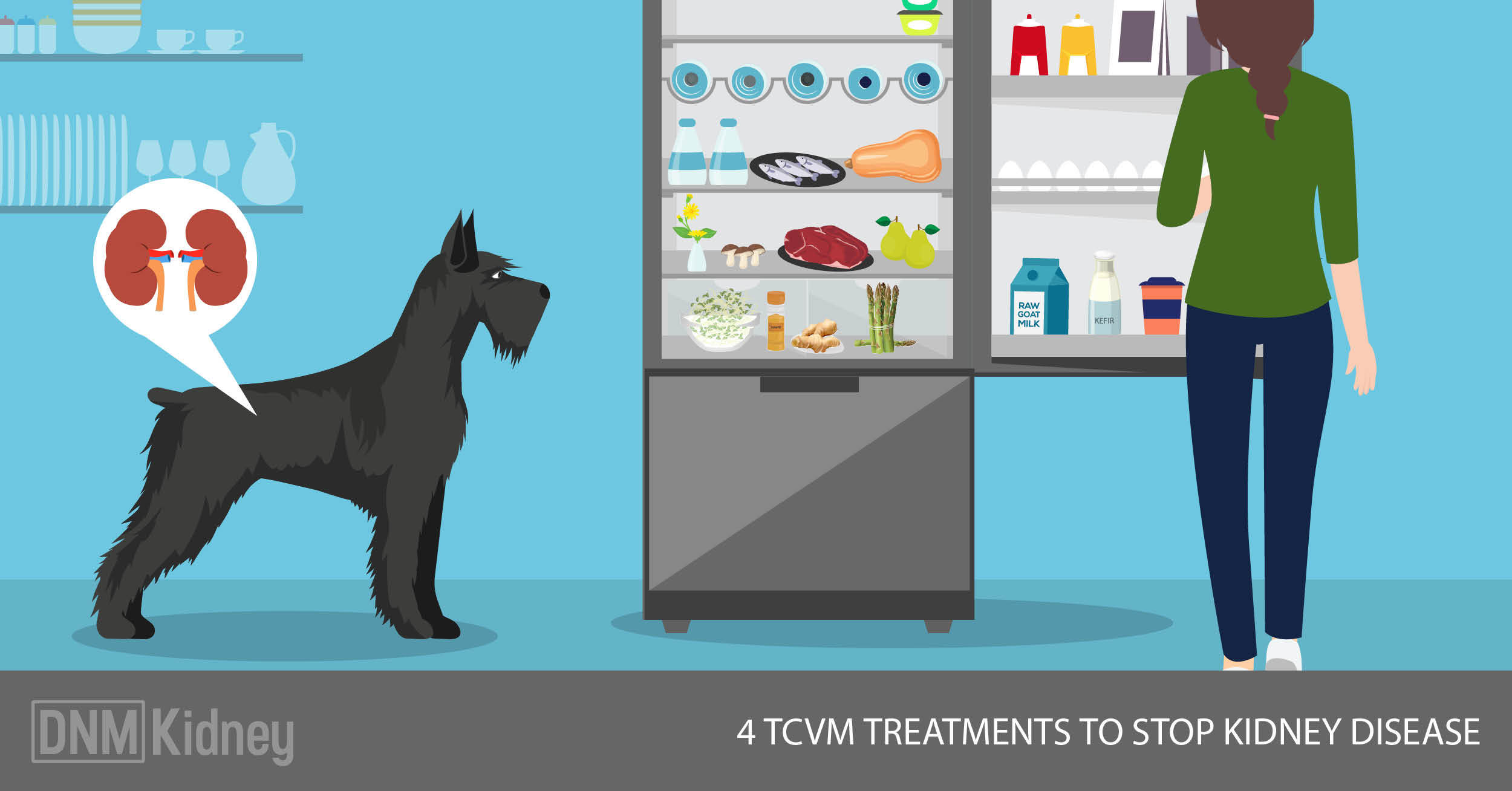 TCVM Treatment For Kidney Disease In Dogs