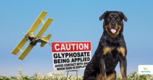 Glyphosate In Dog Food