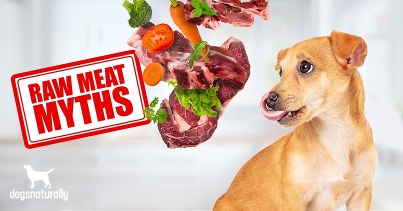 dog meat only diet
