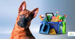 pet safe cleaners