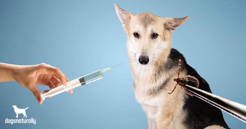 lyme vaccine for dogs
