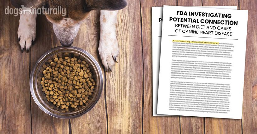 best dog food to prevent cardiomyopathy