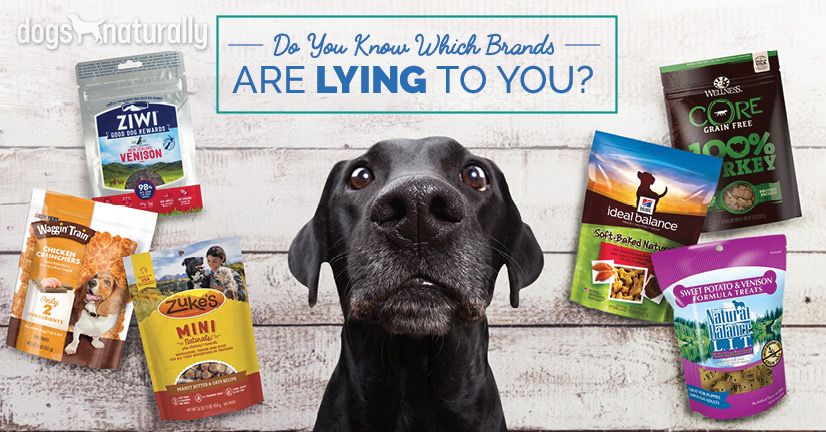 best natural chews for dogs