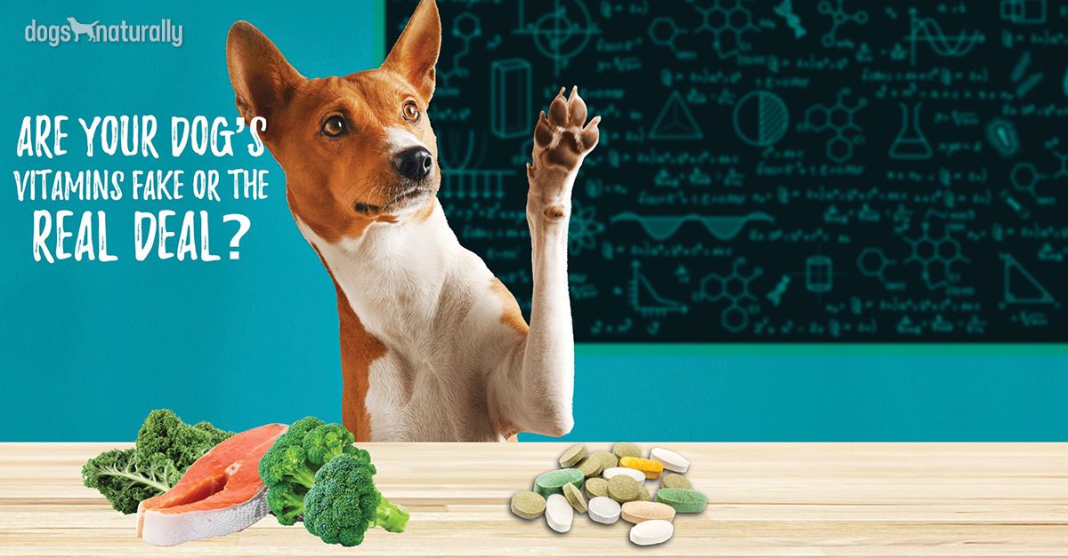 vitamin c safe for dogs