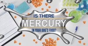 mercury in pet food