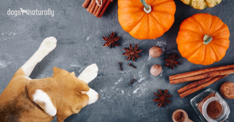 does pumpkin soothe a dog's stomach
