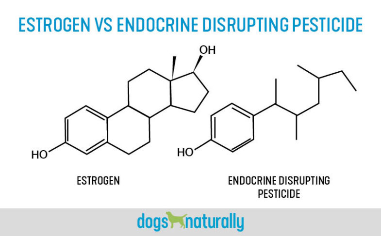 Molecular structure of estrogen vs an endocrine disrupting pesticide - cancer in dogs