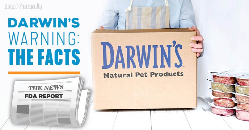 NEWS] Darwin's Natural Pet Food: The 