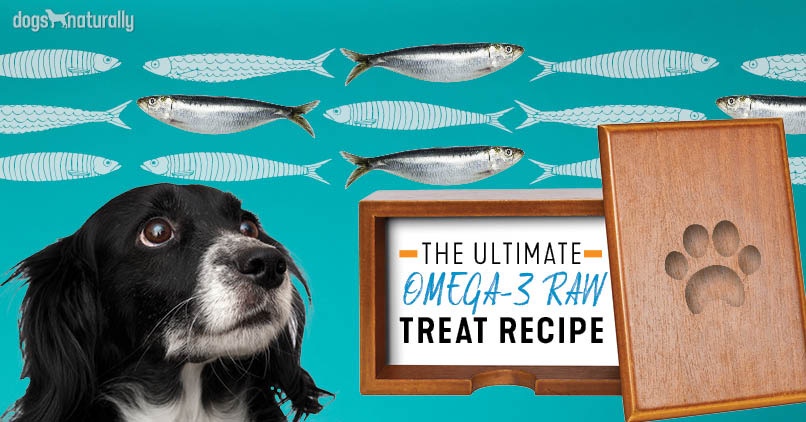 Sardines For Dogs: An Easy Raw Recipe