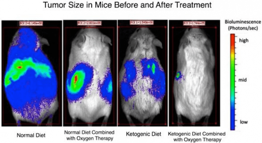 Thermal images of mice befor and after keto diet therapy