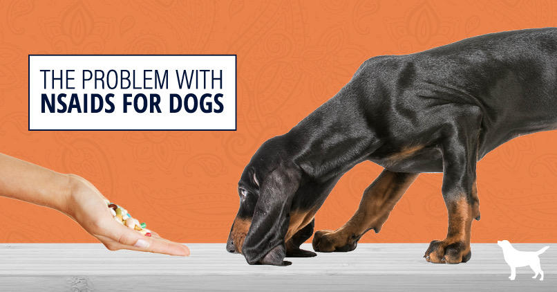 anti inflammatory pills for dogs