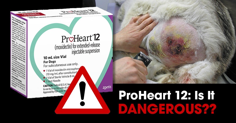 fda-approves-potentially-deadly-proheart-12-for-dogs-dogs-naturally