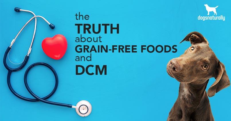 The Truth About Grain Free Dog Foods And Dcm Dogs Naturally