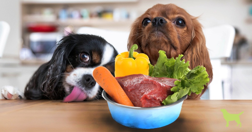 Raw Dog Food Diet Chart