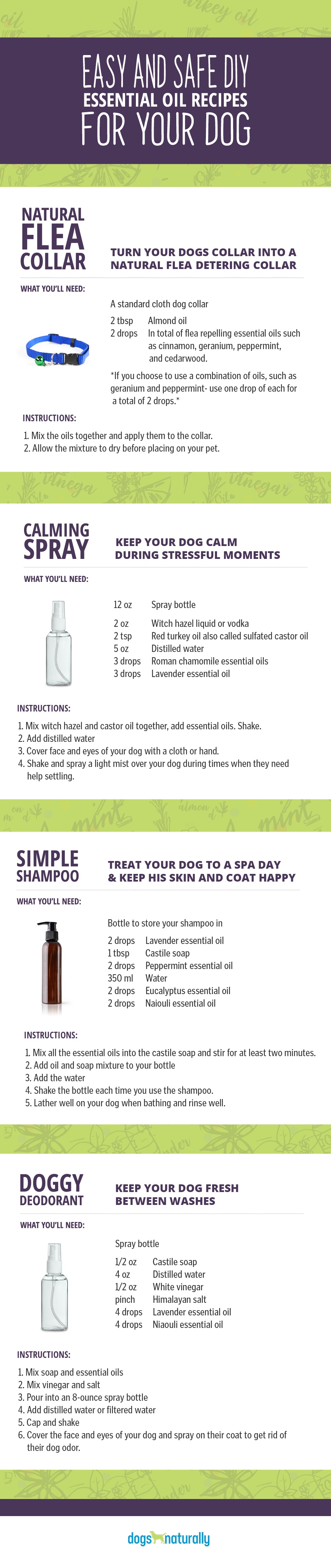 Photo of each DIY Essential Oil Recipes For Dogs. Includes Natural Flea Collar, Calming Spray, Simple Shampoo and Doggy Deodorant
