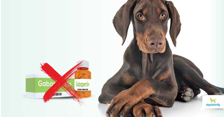 are tramadol and gabapentin effective for cats and dogs