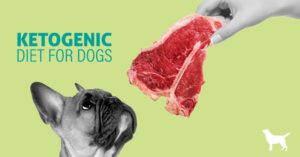 Ketogenic Diets For Dogs