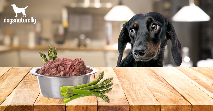 Can Dogs Eat Asparagus? Benefits & Risks Of Feeding It To ...