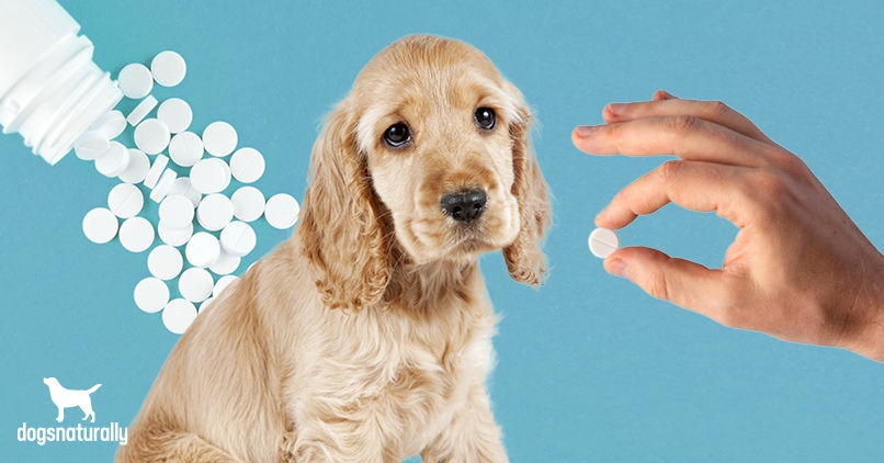 Can You Give Your Dog Baby Aspirin For Arthritis Aspirin For Dogs 6 Risks 6 Safe Alternatives Dogs Naturally