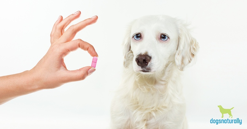 can i give my dog benadryl for pain