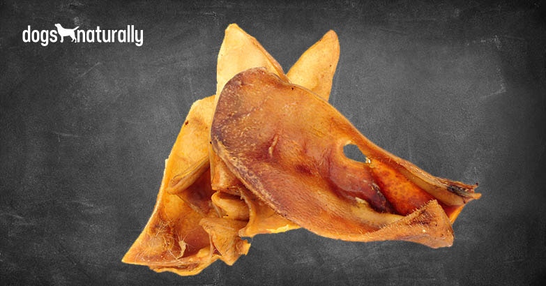 Are Pig Ears Good For Dogs? - Dogs Naturally