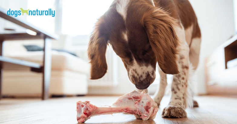Bones for puppies