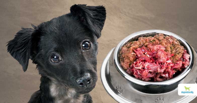 raw diet for dogs