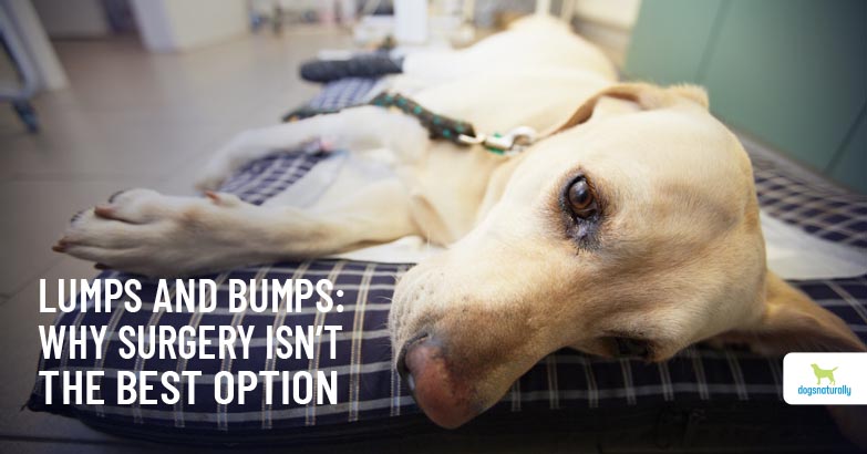 do dog tumors grow fast