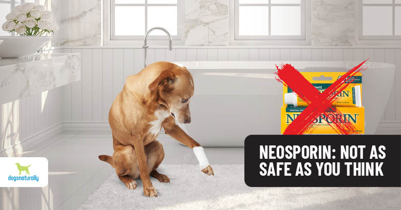 will neosporin hurt my dog