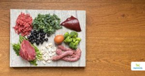 Raw Beef & Turkey Dog Food Recipe