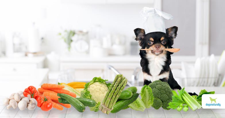 vegetables for dogs