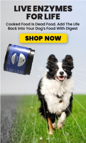 shop digest on The Natural Dog Store