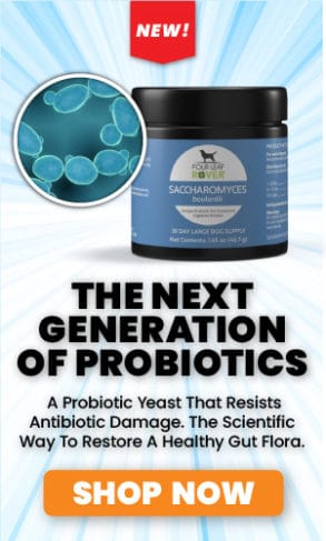 Sidebar ad for our new Saccharomyces boulardii probiotic for dogs