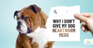heartworm medicine for dogs
