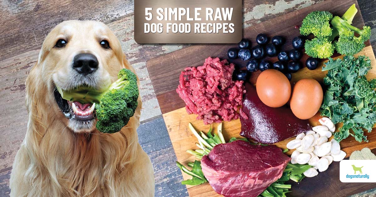 How to Start a Raw Dog Food Business?