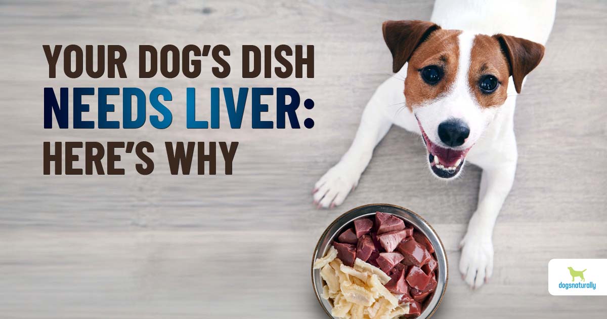 Why Your Dog Should Eat More Liver - Dogs Naturally