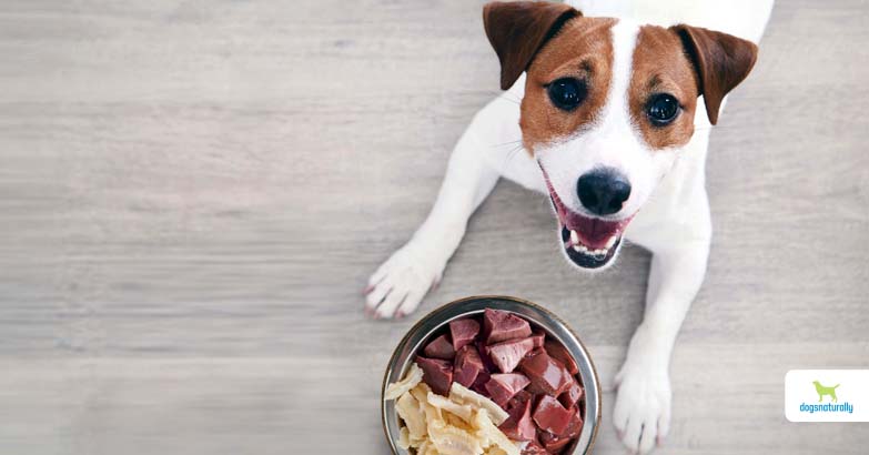 is organ meat good for dogs