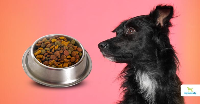 dog food and supplements