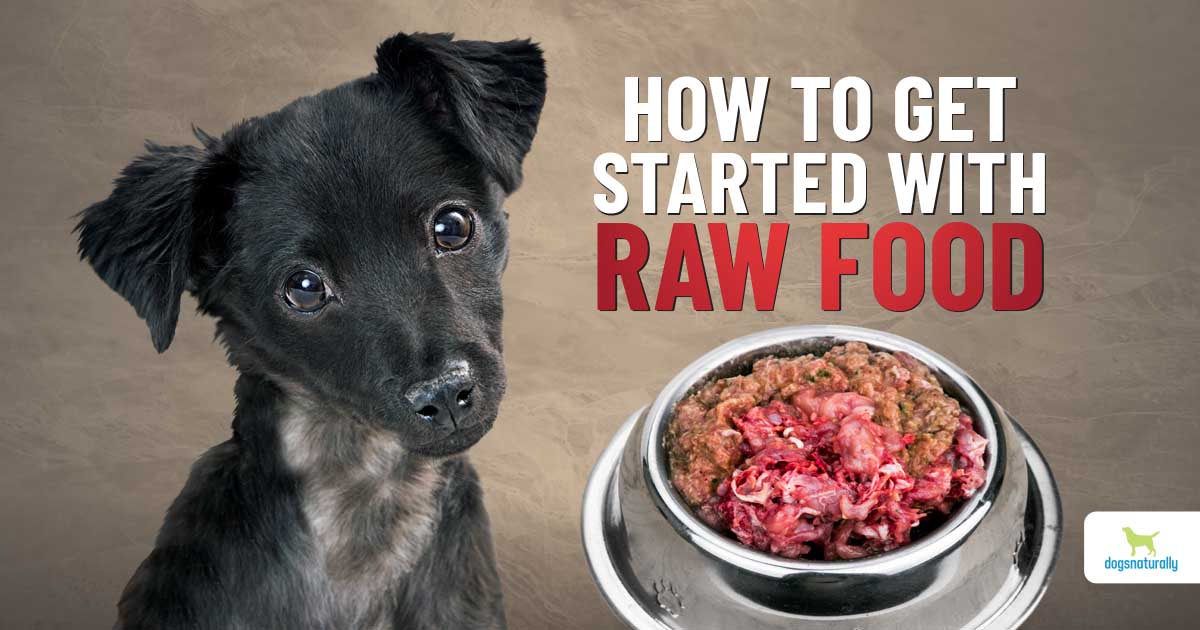 Raw diet puppy food