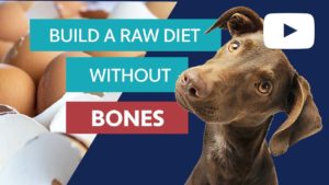 build a raw diet without bones