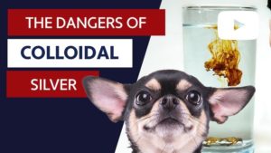 Colloidal Silver For Dogs