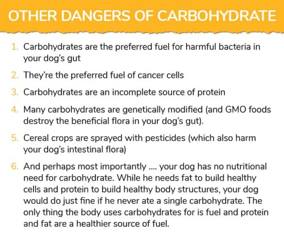 other dangers of carbohydrates