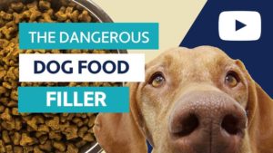the dangerous dog food filler video